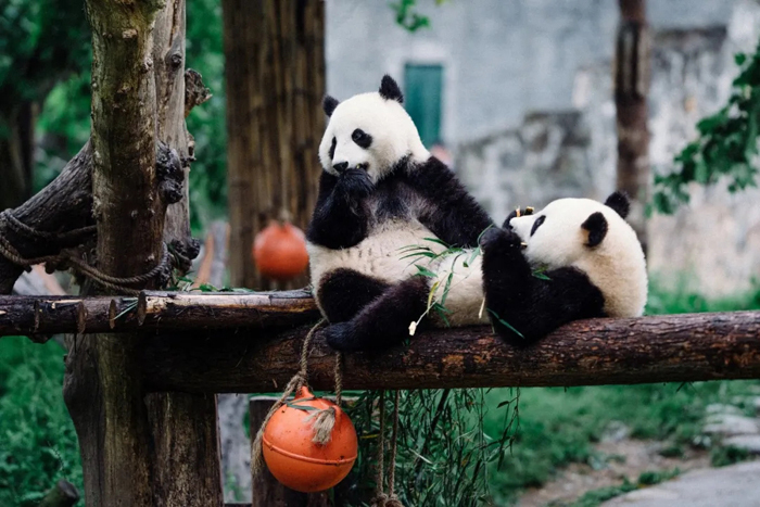 潜派旅行